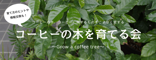 コーヒーの木を育てる会